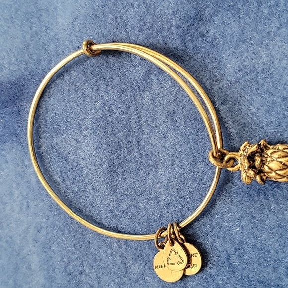 Alex and Ani - Pineapple Lovers Bracelets Lot of 2 - Picture 3 of 7